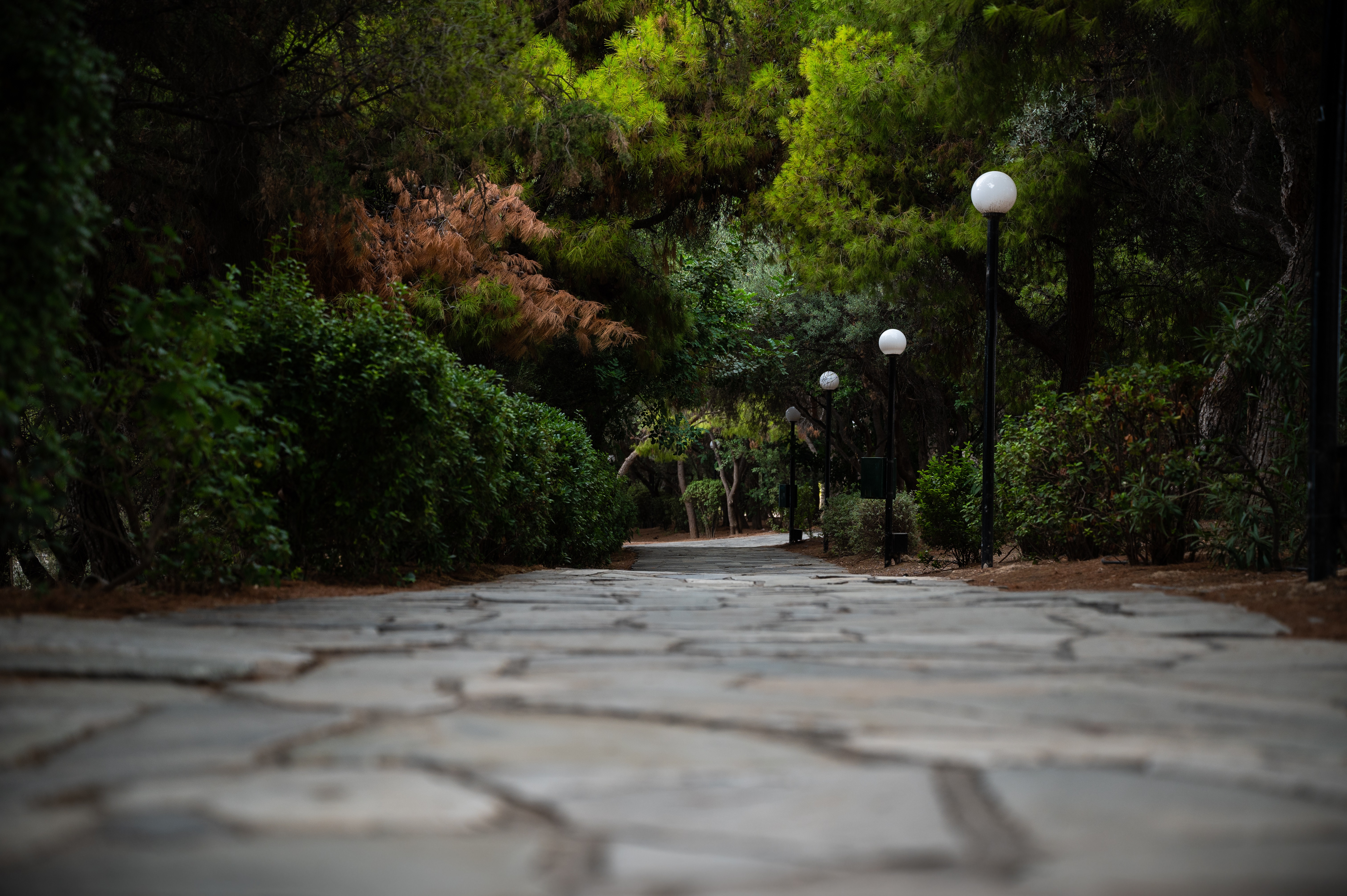 A paved road leading across trees onto a crossroads.